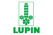 Lupin